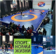 Борьба грэпплинг и грэпплинг-ги 