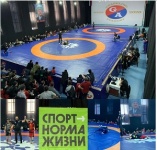 Борьба грэпплинг и грэпплинг-ги 