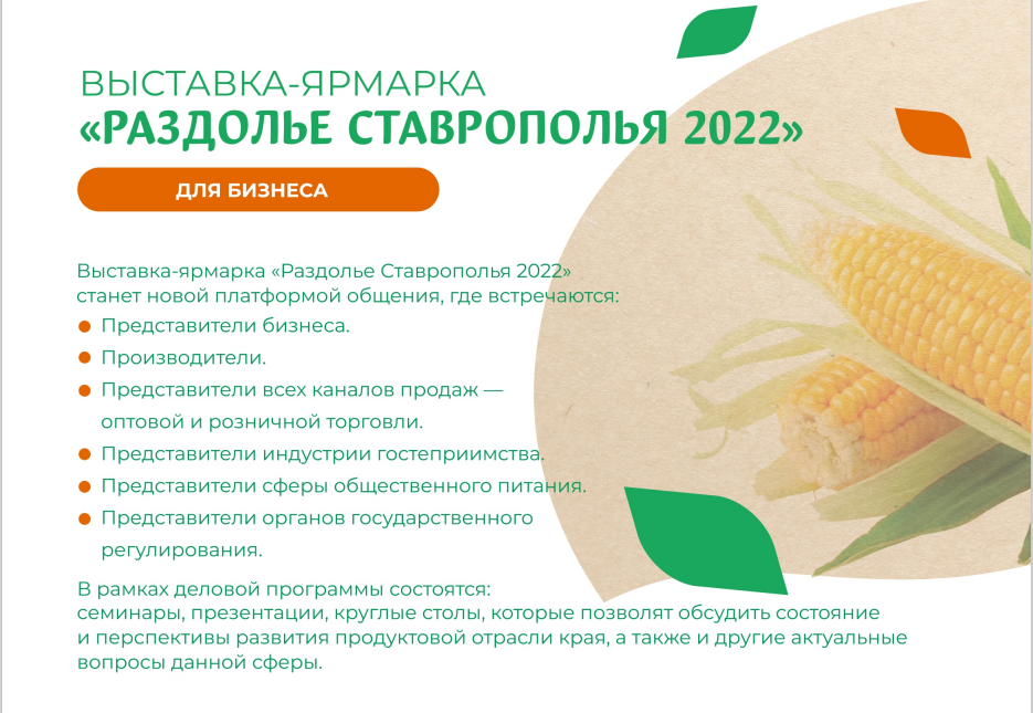 2022-07-19_17-03-11.png